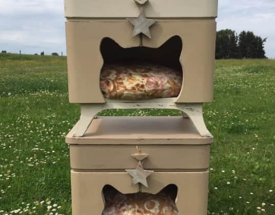Meuble chat